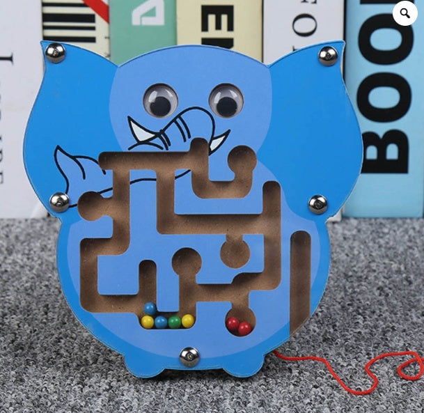 Wooden Magnetic Maze Toy